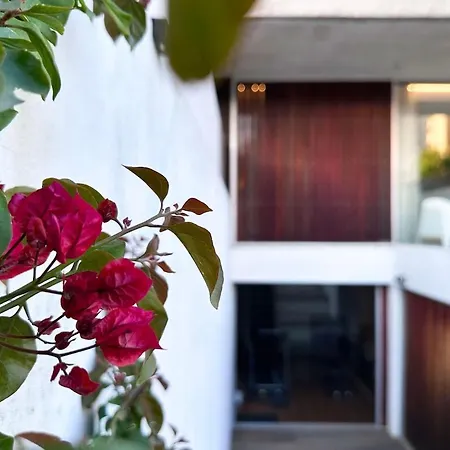 Luxury Vacation 1-near Casa Da Musica Homestay Porto